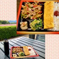 Snapdishの料理写真:気まぐれ投稿               秋桜撮影に       自作＂チンジャオロースー弁当＂|mottomoさん