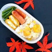 Snapdishの料理写真:栗ごはん🌰弁当|コマツ菜さん