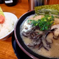 Snapdishの料理写真:【2004年創業】 
博多長浜らーめん ぼたん 大塚本店
ラーメン (麺の固さ：やわ、900円) 
＋明太ごはん (300円) 
＠大塚2分
(JR板橋駅まで徒歩23分)
24274 (296,095)|大脇さん