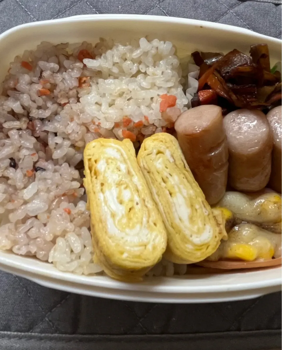 11/9 お弁当|とまとさん