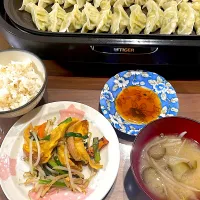 Snapdishの料理写真:餃子　フーチャンプルー　なすともやしの味噌汁|おさむん17さん