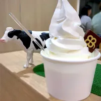 Snapdishの料理写真:ソフトクリーム（カップ）|みゃ〜・はつさん