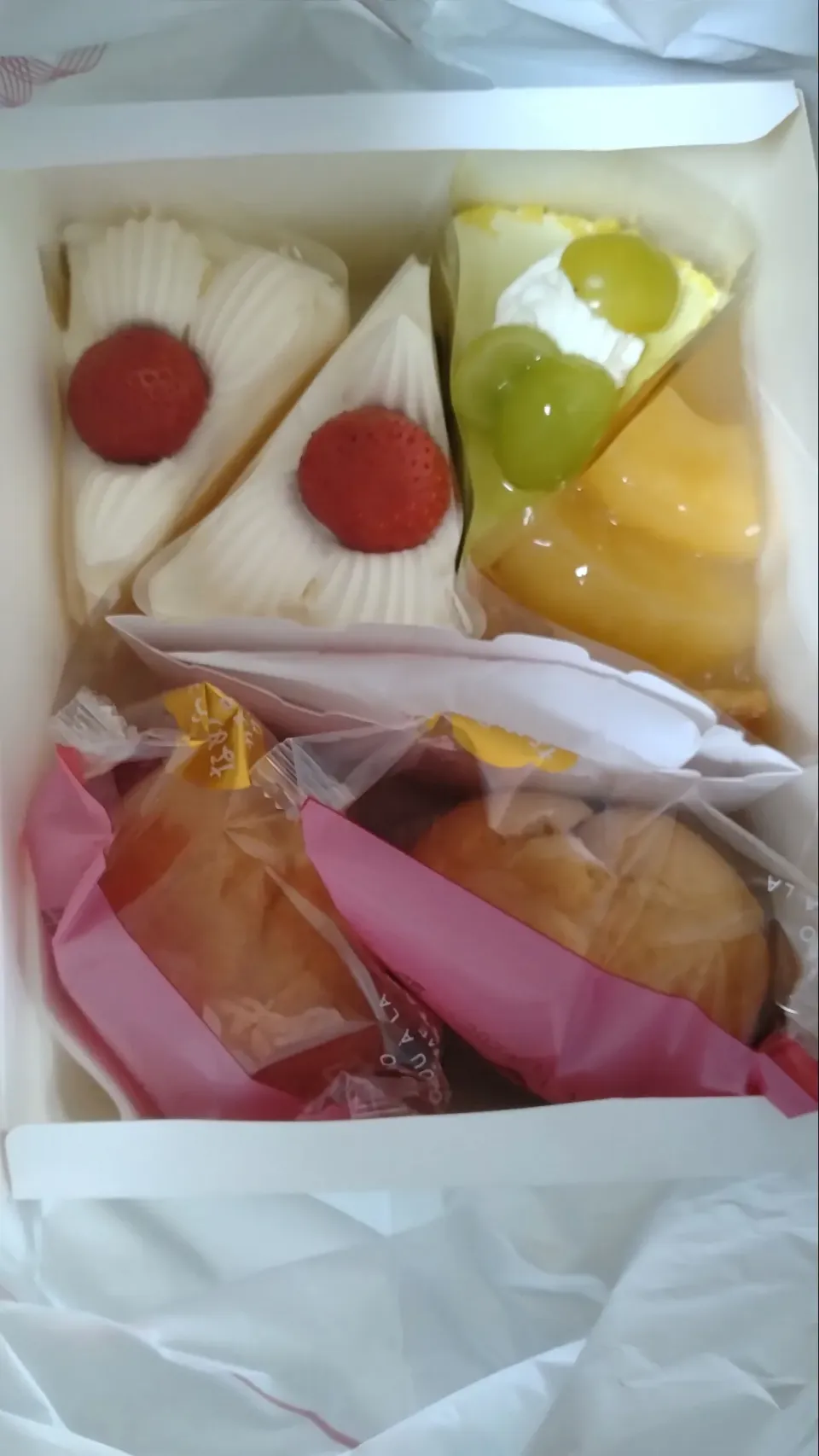 誕生日のケーキ|よっちびやばんぶーさん