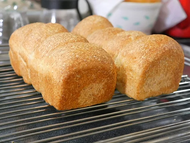 久しぶりに食パン。相変わらず食パン型持ってないので、パウンドケーキ型で🤭|深夜特急fさん