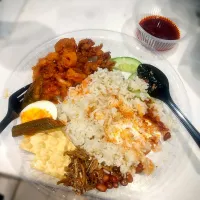 nasi lemak sotong|DarrlyingAdamAbdMalekさん