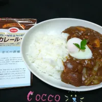 Snapdishの料理写真:温玉乗せチキンカレーライス✨