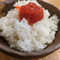 Snapdishの料理写真:ごはんのおともナンバーワン|Mayayaさん