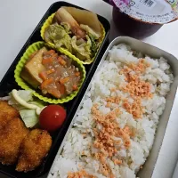 Snapdishの料理写真:☆高校生弁当☆もち麦入り鮭ごはん、竹輪白菜煮、厚揚げあんかけ、サラダ、カツ、ゼリー|ｼｮｺﾗさん