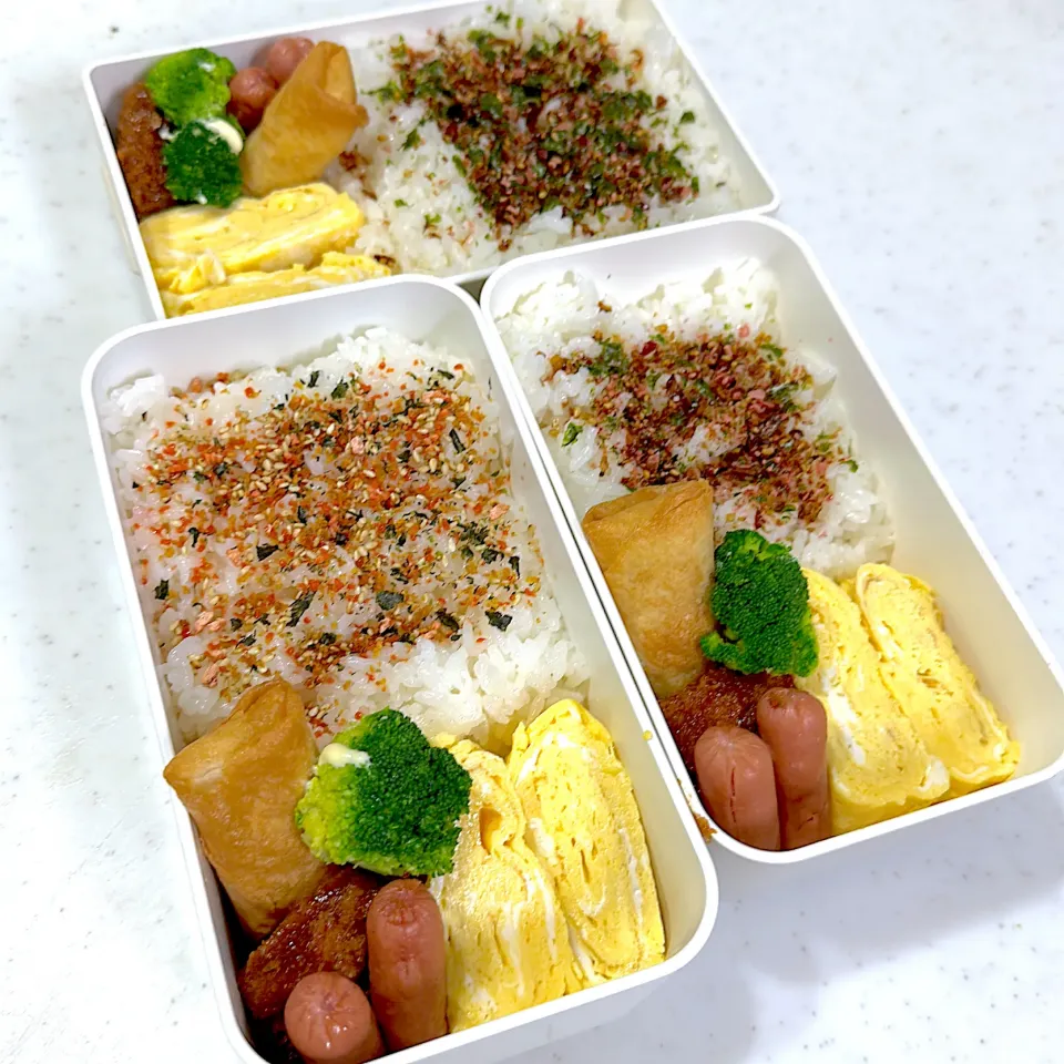 今日のお弁当|HITOMInさん