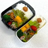 Snapdishの料理写真:2024年11月11日お弁当🍱|もぐぷーさん