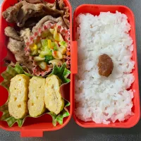 いつもの塩麹ロース弁当|あおのりさん