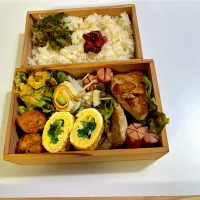 お弁当•11/11|☆カボ☆さん