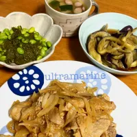 Snapdishの料理写真:＊ポークチャップと野菜たちで晩ごはん♪＊|ultramarineさん