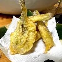 Snapdishの料理写真:（釣）ハゼの天ぷら|さくたろうさん