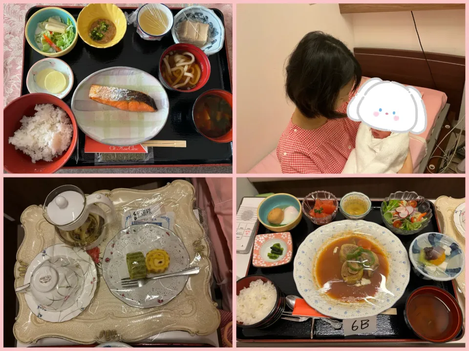 Snapdishの料理写真:⚫︎出産当日病院のお食事
朝:和食
昼:分娩中で食べれず😭
間:ロールケーキ
夕:ロールキャベツ|さっちんさん