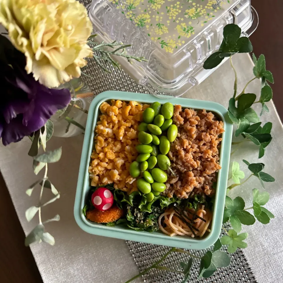 11/12❤︎主人の三色そぼろ弁当🌱✨
今日も暖かい一日になりそうですね☀️

＊ 鶏そぼろ
＊ たまごそぼろ
＊ 枝豆🫛
＊ たらこパスタ
＊ 白身魚のフライ
＊ ほうれん草の胡麻和え|Makinsさん