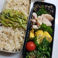 Snapdishの料理写真:☆高校生弁当☆もち麦入りきのこ炊き込みご飯、蕪の葉ふりかけ、ひじき煮物、鶏塩麹焼、シラス卵焼き、ほうれん草ゴマ和え、ミニトマト、キリスティック|ｼｮｺﾗさん