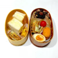 Snapdishの料理写真:今日のオット弁当と、高２ムスメ弁当。|chi.aさん