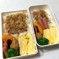 今日のお弁当|HITOMInさん