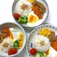 Snapdishの料理写真:晩ご飯|さとう かおりさん