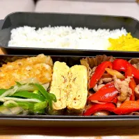 息子のお弁当〈11月〉|かおりさん