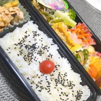 11月13日お弁当|鈴木さとしさん