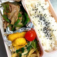 Snapdishの料理写真:チンジャオロース風弁当|ぱんださん