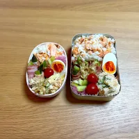 鮭ごはん弁当| sachi ＊さん