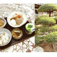 Snapdishの料理写真:grandmaの晩ごはん☆ 五葉の松🌲剪定が完了‼️
今夜は里芋と大根をもらったので煮物を…春雨の野菜炒め…頂きます|kaoriさん