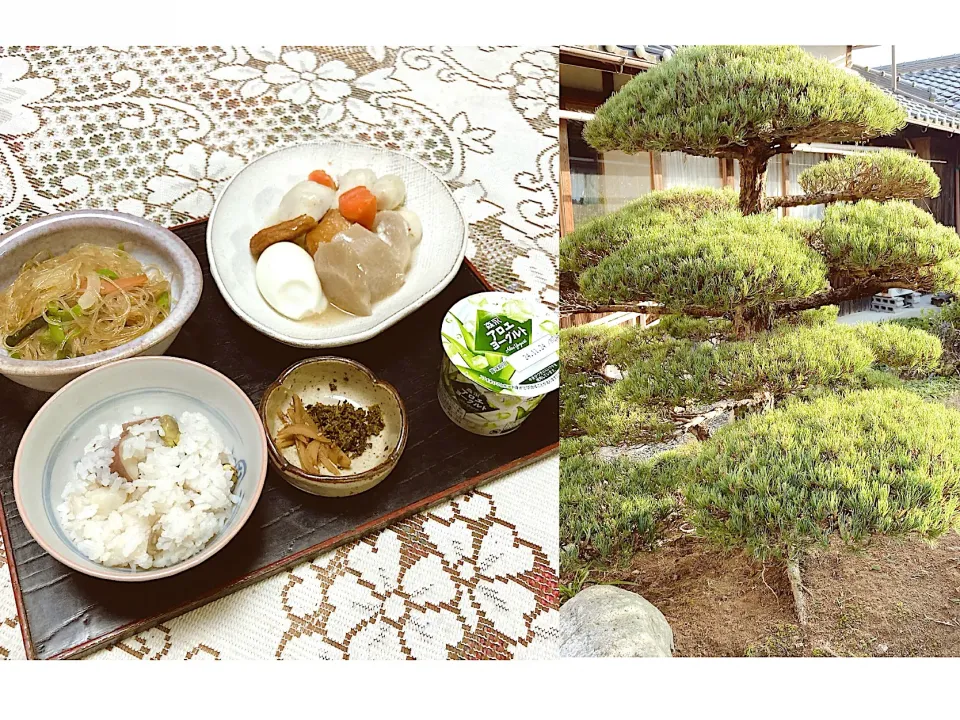 grandmaの晩ごはん☆ 五葉の松🌲剪定が完了‼️
今夜は里芋と大根をもらったので煮物を…春雨の野菜炒め…頂きます|kaoriさん