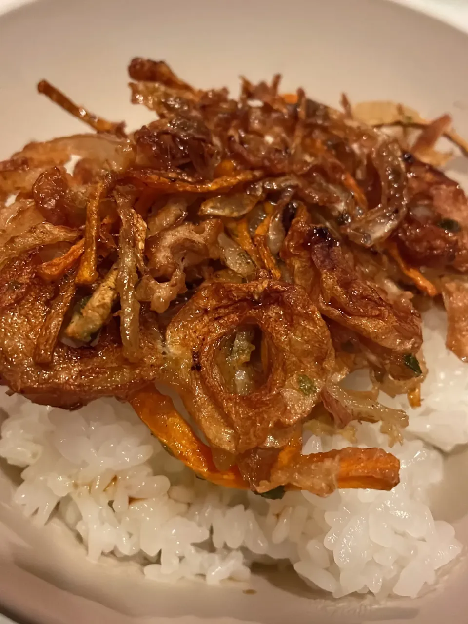 おっさんご飯　かき揚げ丼　汁|ひげおやじさん