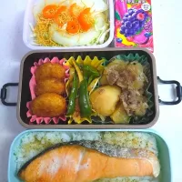 Snapdishの料理写真:🍀2024/1114(木)鮭どーん弁当|ともちんさん