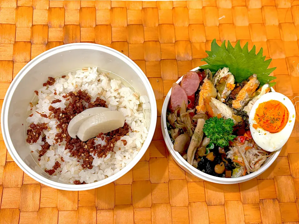 中学生息子のお弁当🍱 生春巻き揚げ弁当🍱|Snow10さん