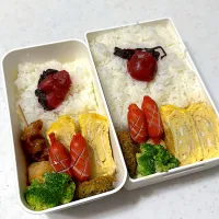 今日のお弁当|HITOMInさん