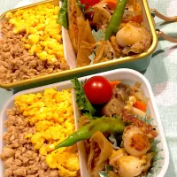 Snapdishの料理写真:2024.11.14  ＊今日のお弁当＊そぼろ丼♪♪| rinrin*mama*さん