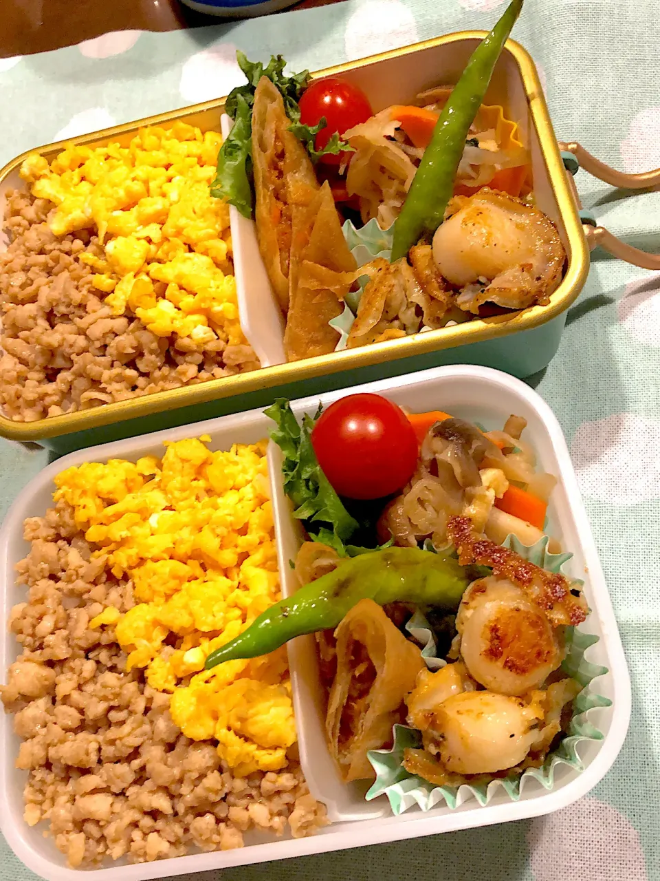 2024.11.14  ＊今日のお弁当＊そぼろ丼♪♪|rinrin*mama*さん