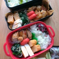 夫と娘のお弁当|みわさん