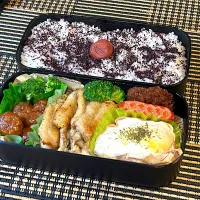 今日の高校男子弁当(11/14)|ミカリンさん