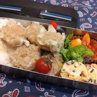 シュウマイ弁当　265|キャンディさん