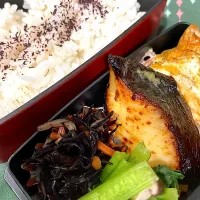 Snapdishの料理写真:お弁当2024.11.14