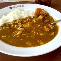 チキン煮込みカレー🍛(ハーフチーズ)|アライさんさん