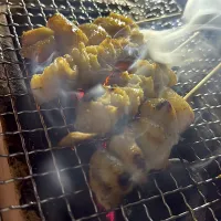 七輪で焼き鳥|gohan♡さん