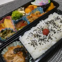 11月15日お弁当|鈴木さとしさん