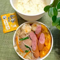 肉野菜炒めのお弁当|＊ayabianさん