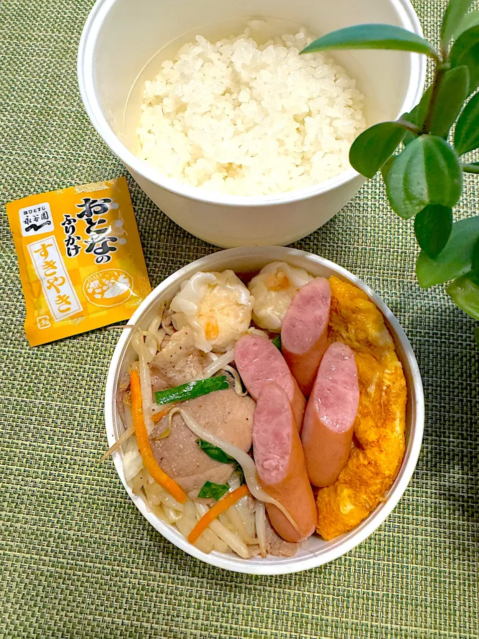 肉野菜炒めのお弁当|＊ayabianさん