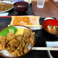 苫小牧でウニ丼とホッキカレー🍛| がおりんさん