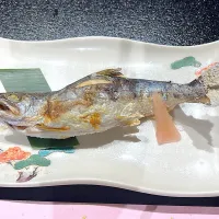 天魚の塩焼き|Sachyさん