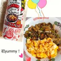 初yummy！そぼろ野菜卵丼|m.rafuさん