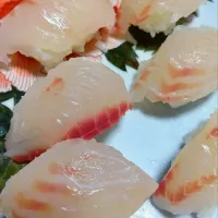 鯛をにぎってみました🐟️|さくらんぼさん