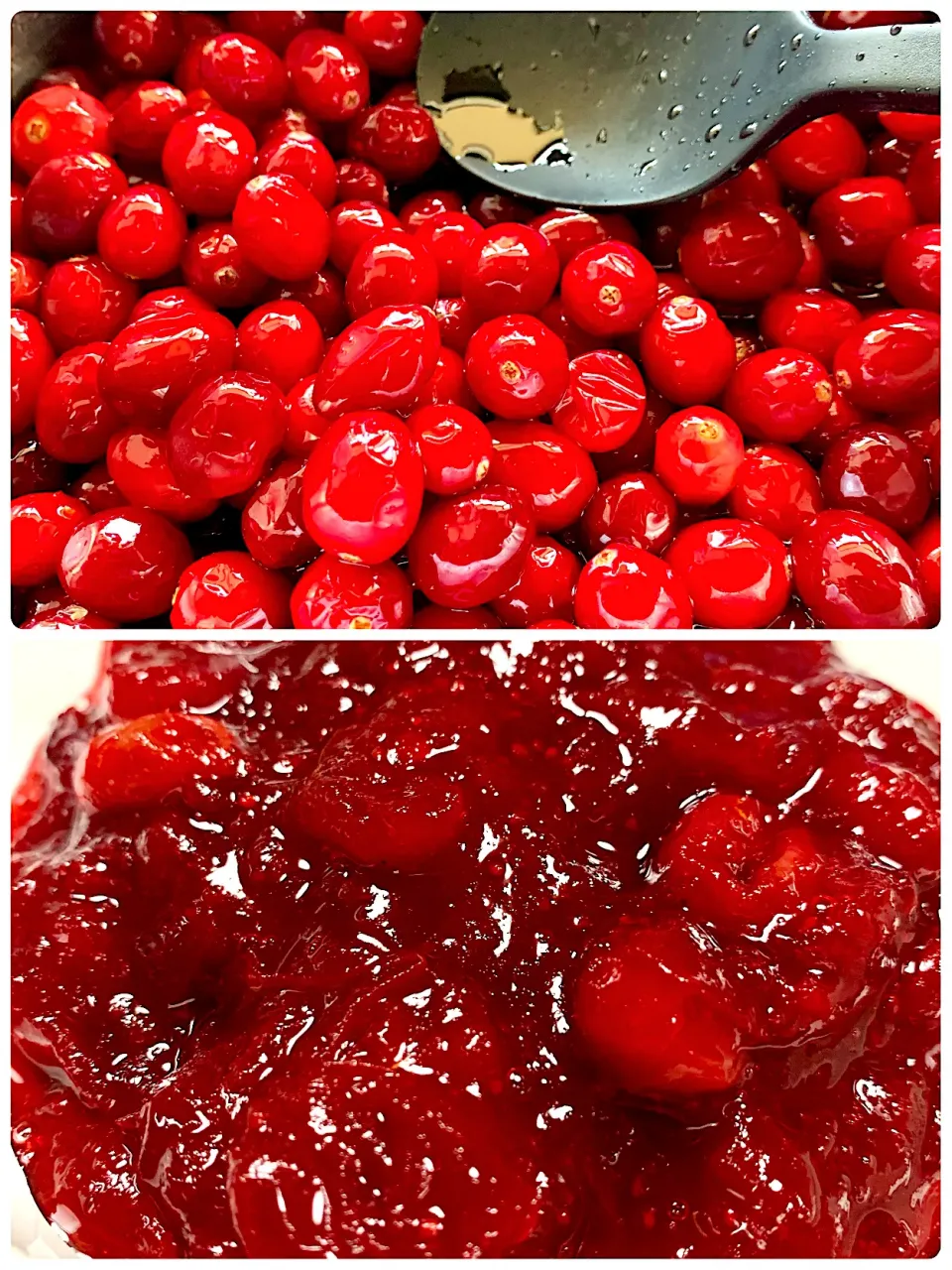 Cranberry Sauce|gonbenさん